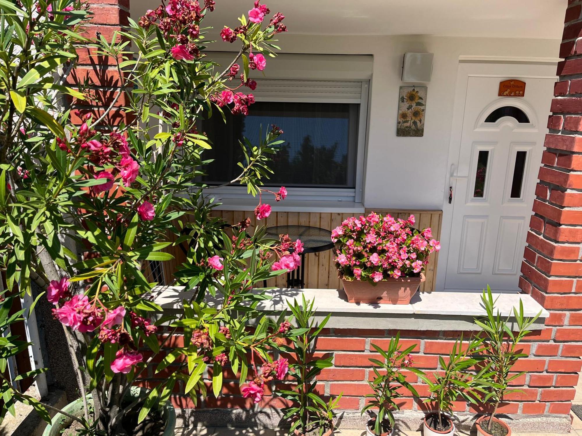 Edes Otthon Villa Balatonfüred Екстериор снимка